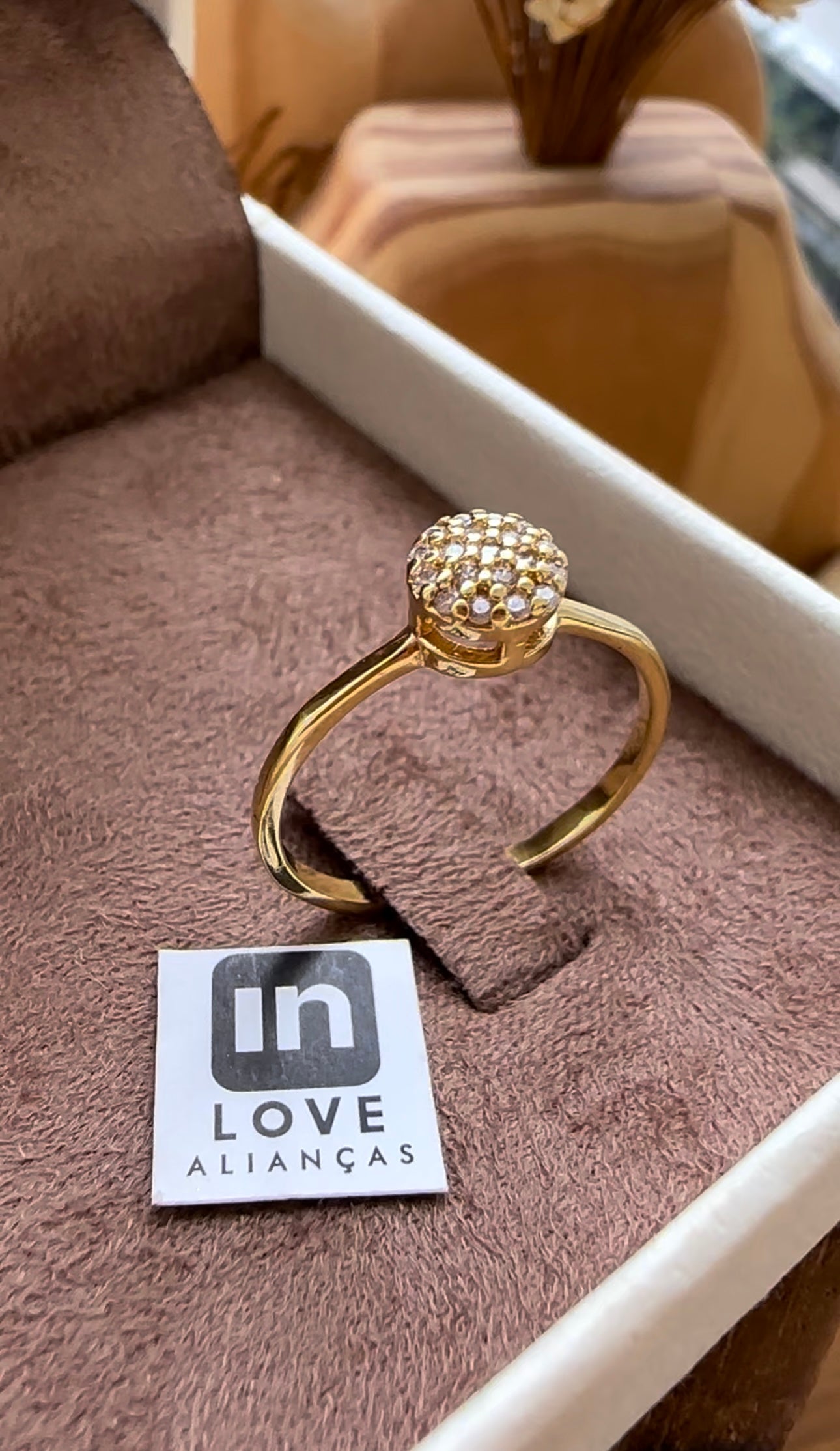 Anel Solitário Promessas em Ouro 18k - 12x R$149,91