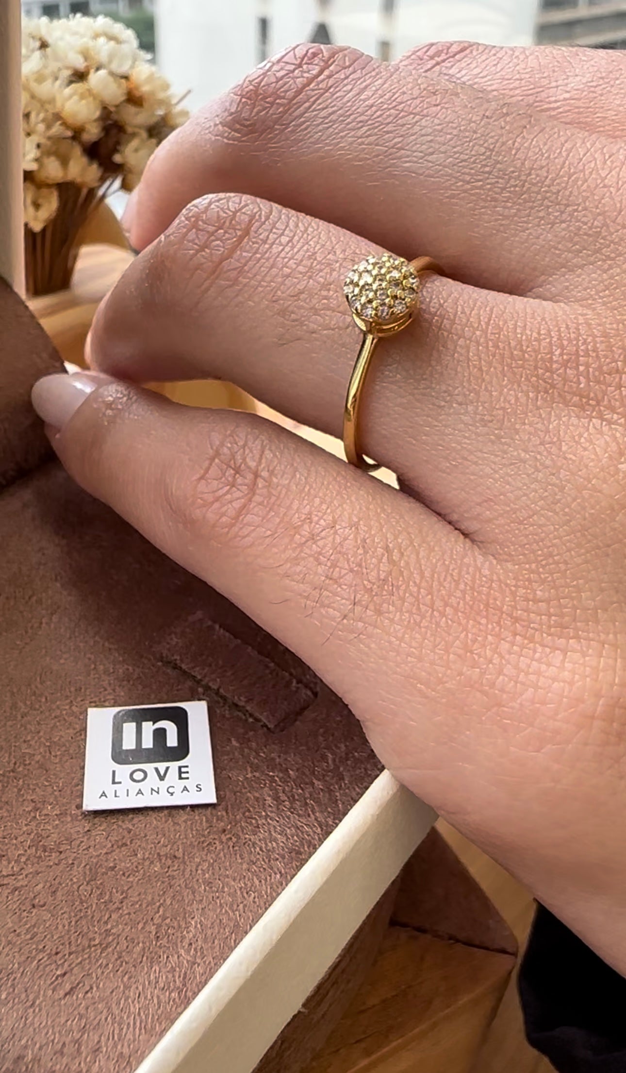 Anel Solitário Promessas em Ouro 18k - 12x R$149,91